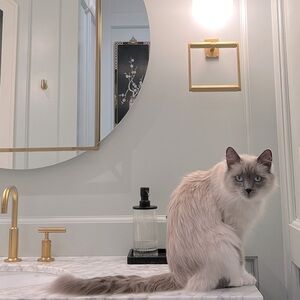Meet your Posher, Pamela